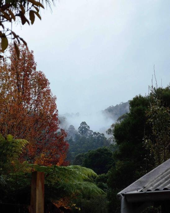 Harrys House Warburton - Peaceful Riverside Cottage In The Perfect Location Bagian luar foto