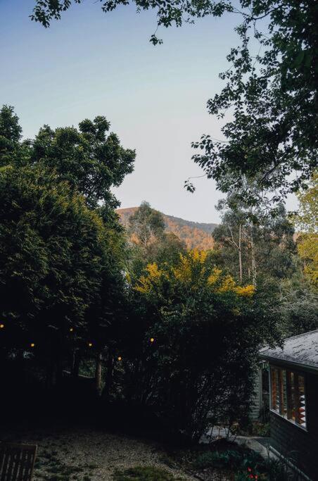 Harrys House Warburton - Peaceful Riverside Cottage In The Perfect Location Bagian luar foto