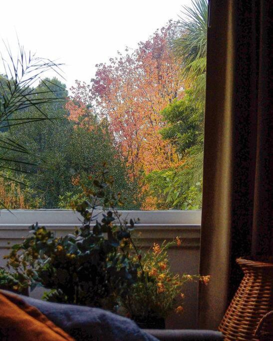 Harrys House Warburton - Peaceful Riverside Cottage In The Perfect Location Bagian luar foto